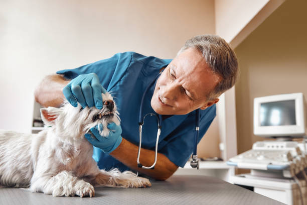Best Walk-In Emergency Dentist in Parkville, MO